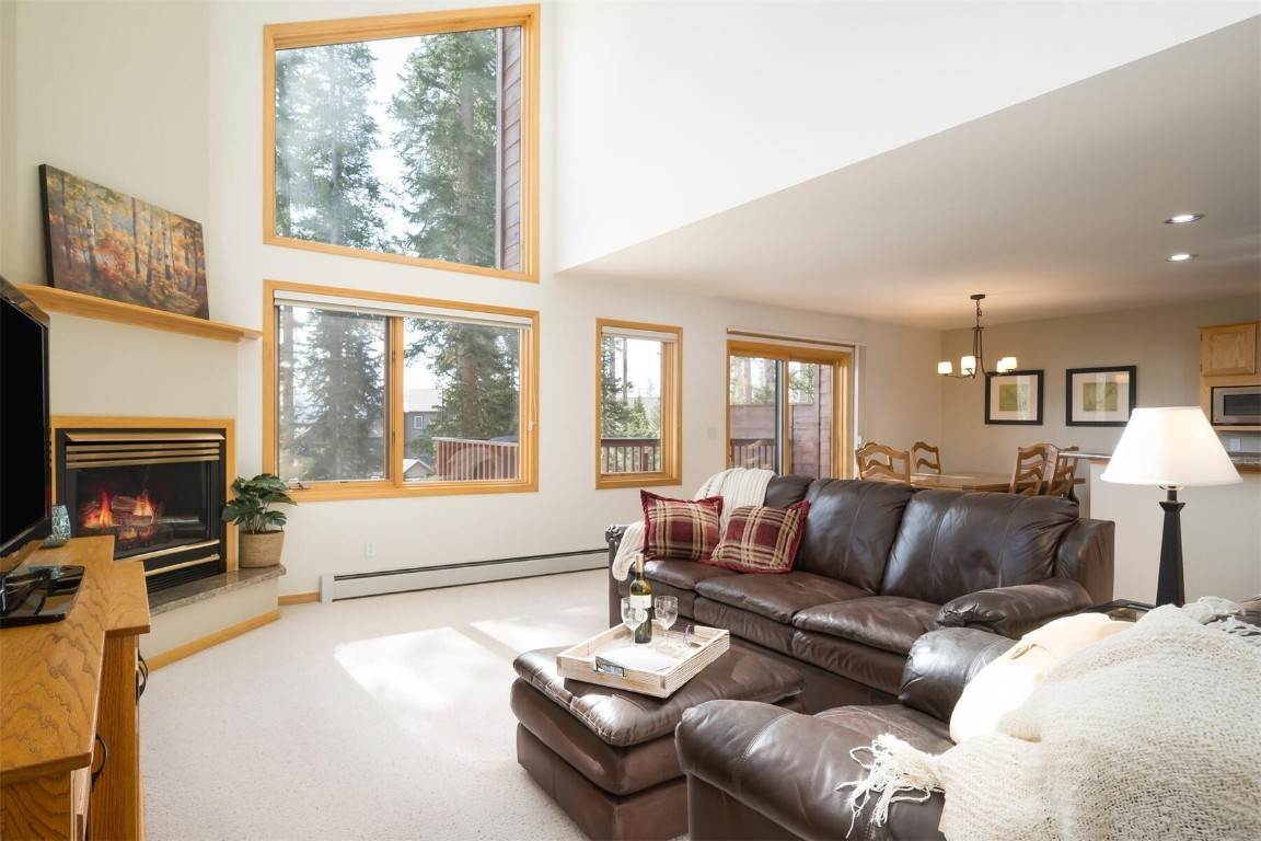 3. Duplex Homes for Active at 101 Bashore Court Silverthorne, Colorado 80498 United States