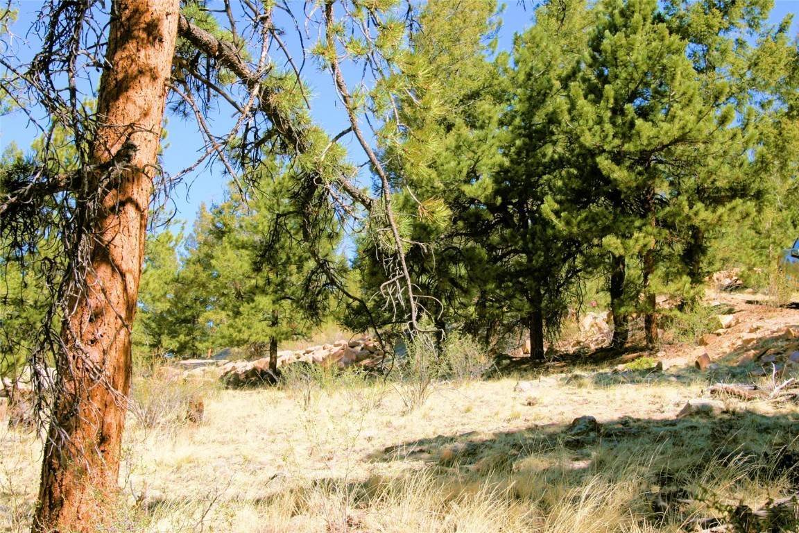 18. Land for Active at Bonell Drive Fairplay, Colorado 80440 United States