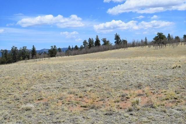 4. Land for Active at 368 Antelope Way Como, Colorado 80432 United States