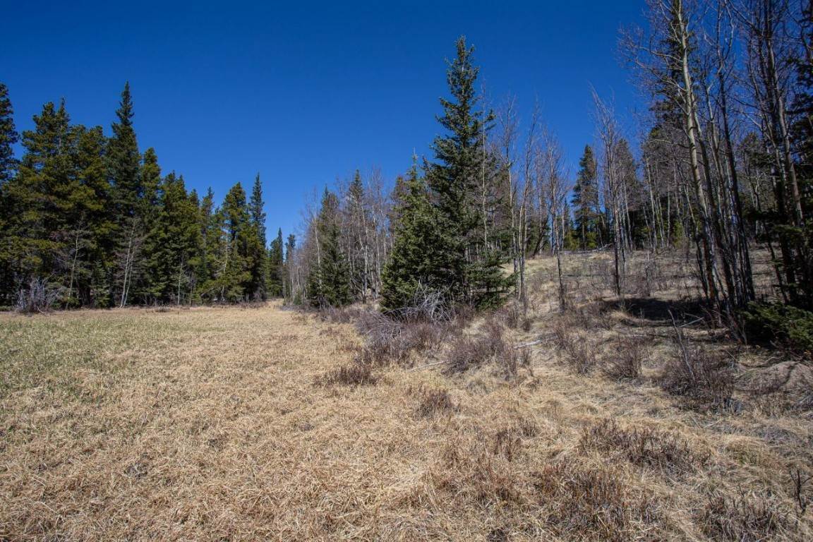 15. Land for Active at 29 Isabelle Court Fairplay, Colorado 80440 United States