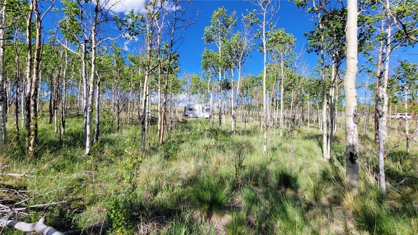 6. Land for Active at 513 Georgia Drive Jefferson, Colorado 80456 United States