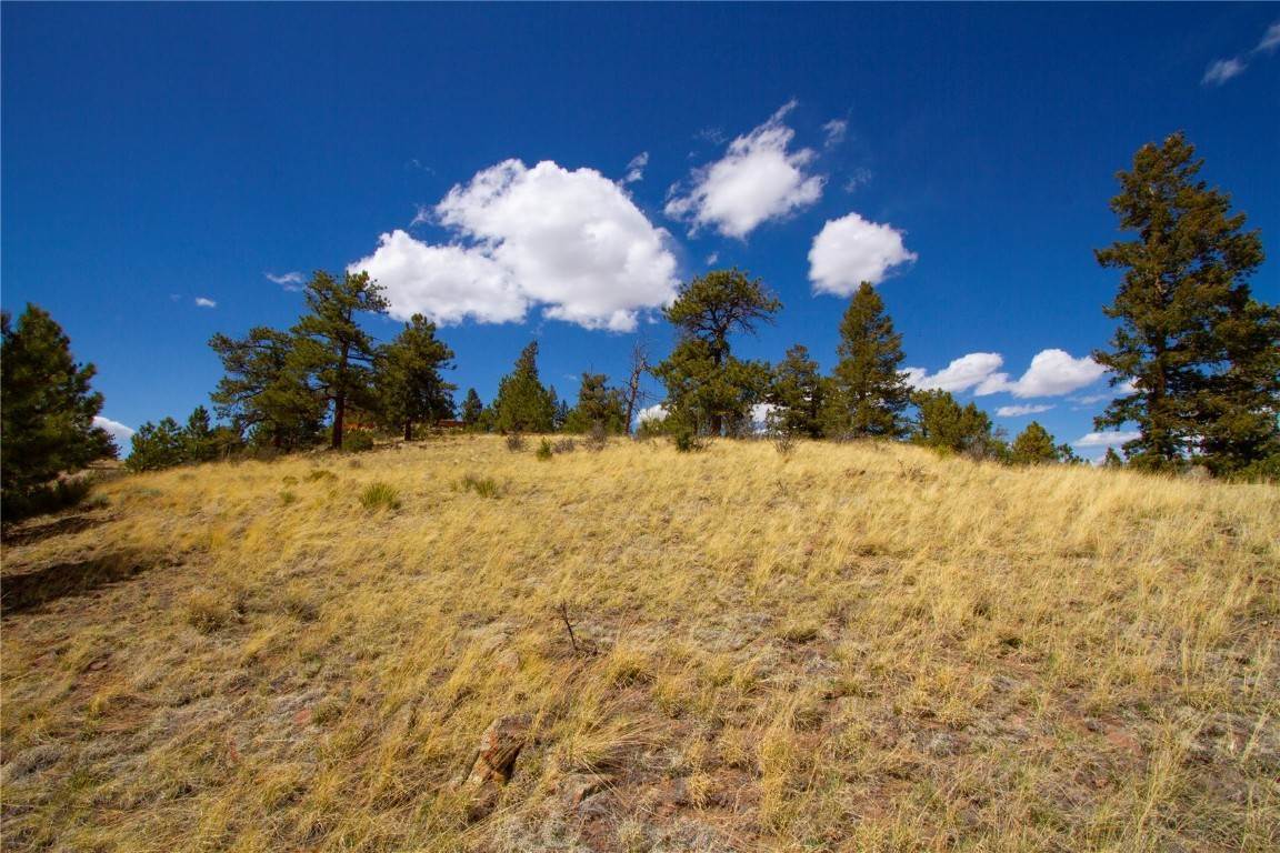17. Land for Active at 283 Ladigo Lane Hartsel, Colorado 80449 United States