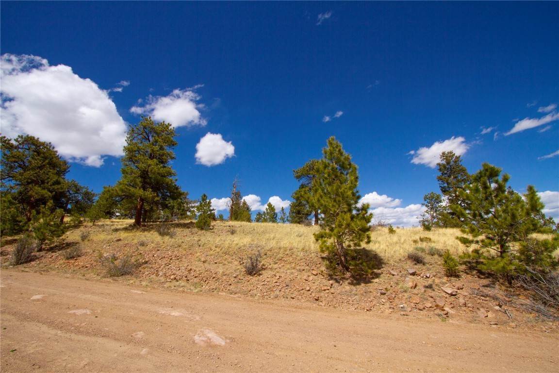 18. Land for Active at 283 Ladigo Lane Hartsel, Colorado 80449 United States