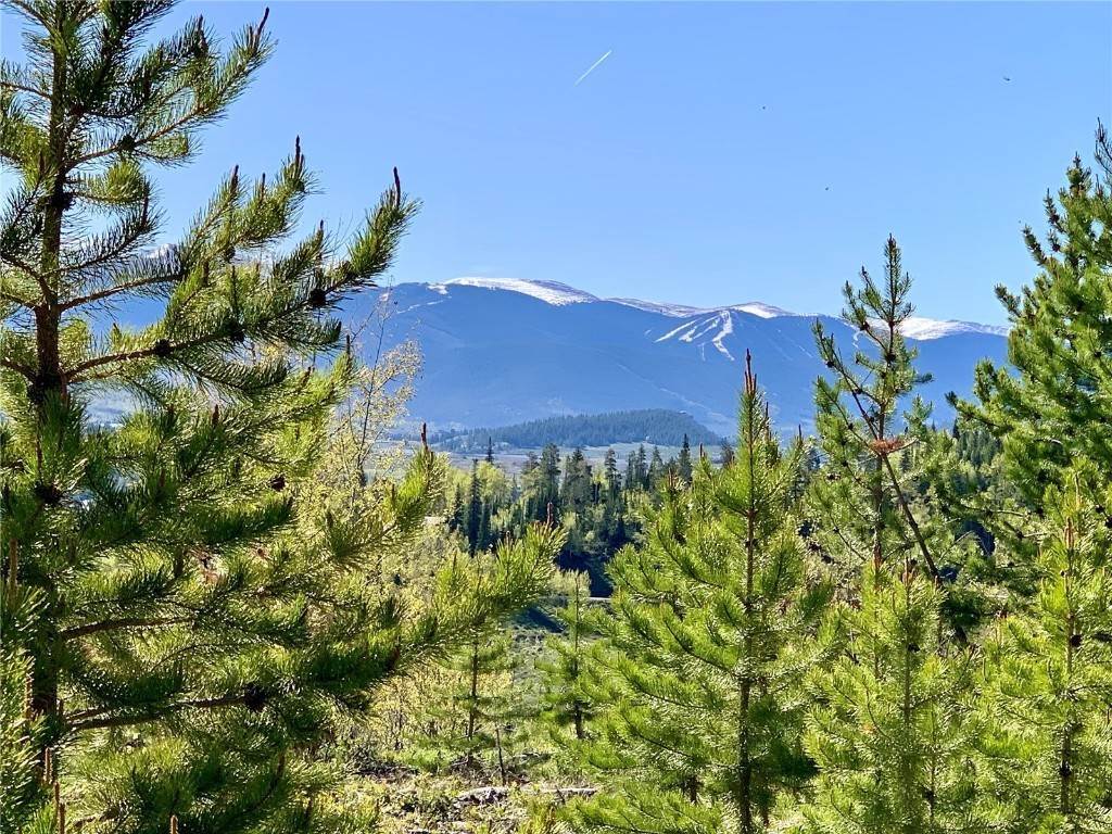 Land for Active at 75 Agate Road Silverthorne, Colorado 80498 United States