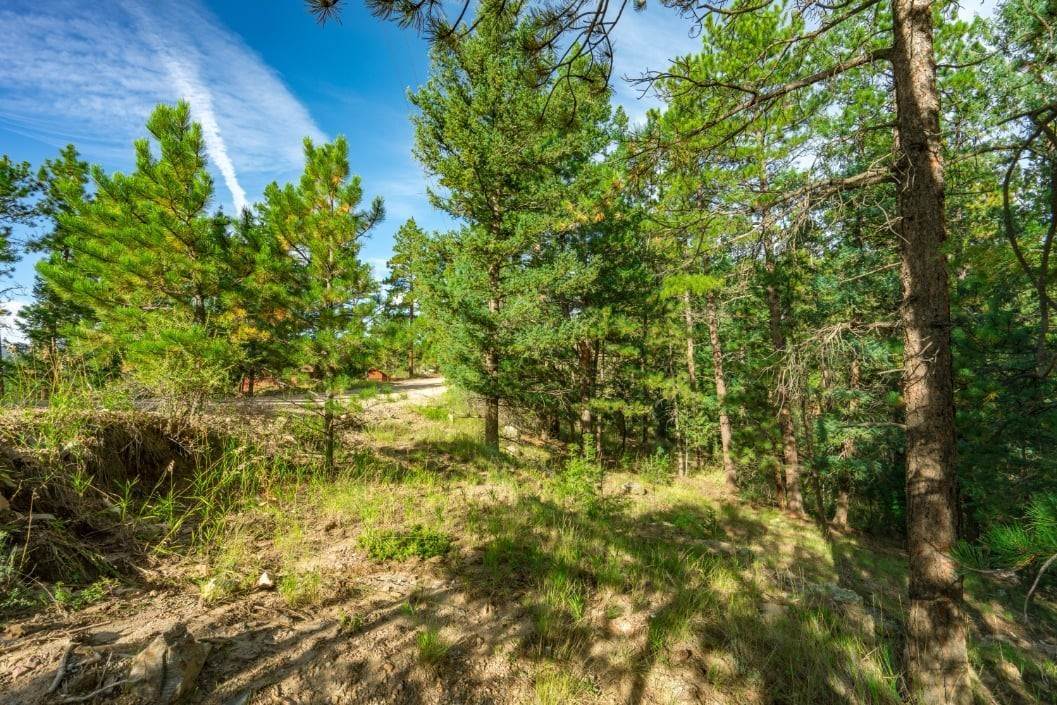 9. Land for Active at 360 Hi Meadow Drive Bailey, Colorado 80421 United States