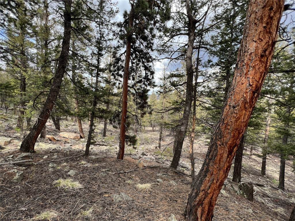 10. Land for Active at TBD Middle Fork Vista Fairplay, Colorado 80440 United States