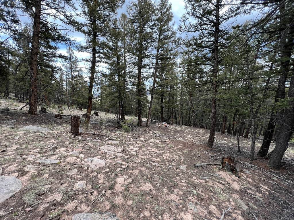 17. Land for Active at TBD Middle Fork Vista Fairplay, Colorado 80440 United States