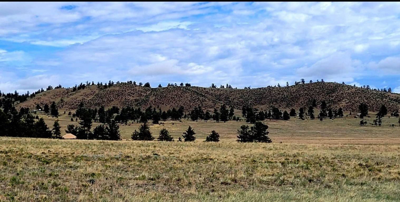 2. Land for Active at 389 Park Road Hartsel, Colorado 80449 United States