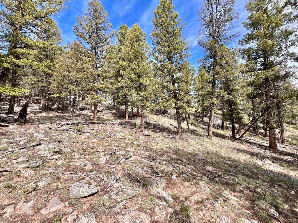 16. Land for Active at 4804 Middle Fork Vista Lot 519 Fairplay, Colorado 80440 United States