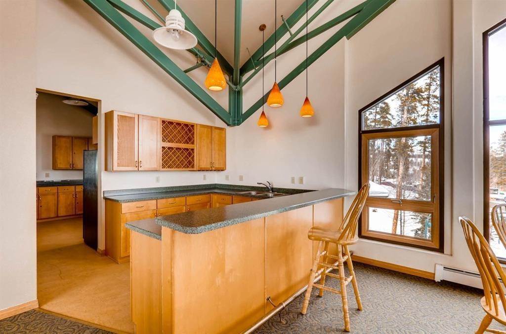 19. Condominiums for Active at 2300 Lodge Pole Circle Silverthorne, Colorado 80498 United States
