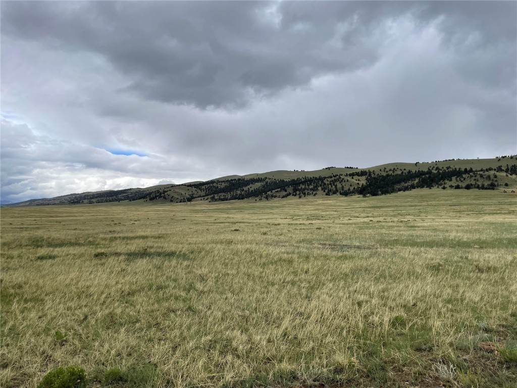 2. Land for Active at 580 Vogel Place Fairplay, Colorado 80440 United States