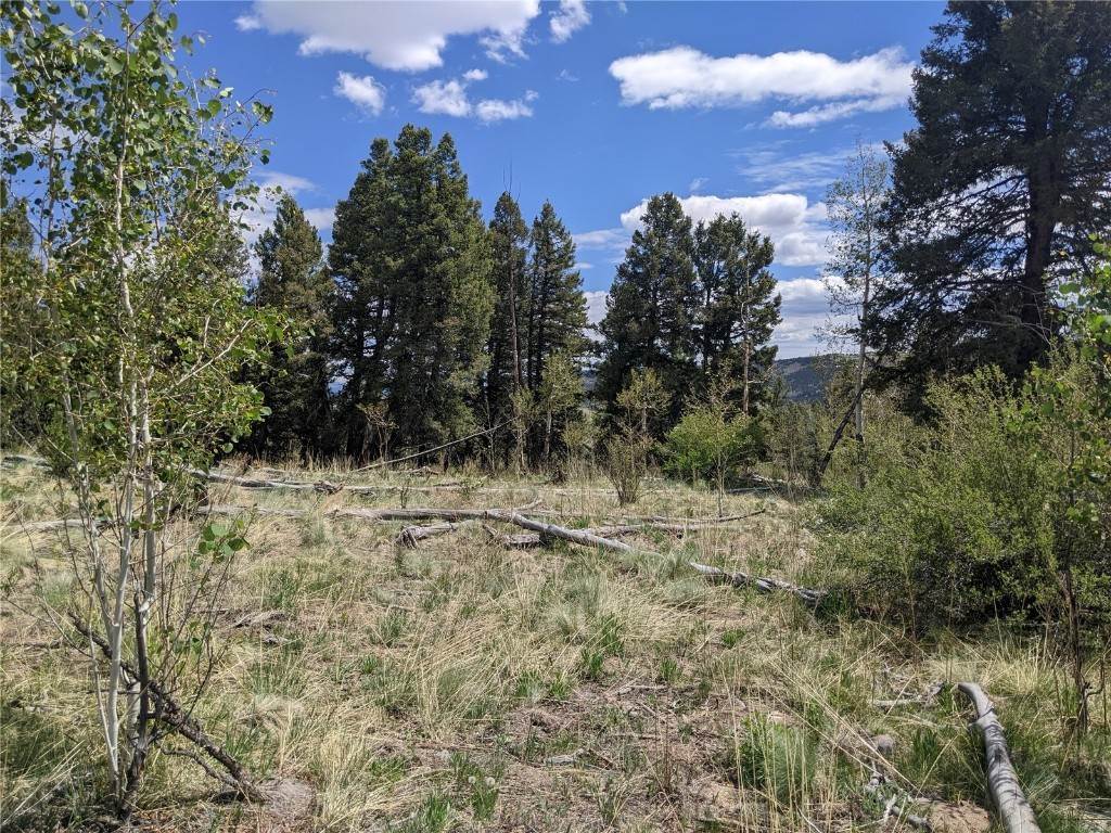 9. Land for Active at 4765 Middle Fork Vista Fairplay, Colorado 80440 United States