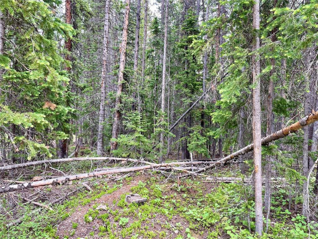 5. Land for Active at 494 Lakeview Drive Breckenridge, Colorado 80424 United States