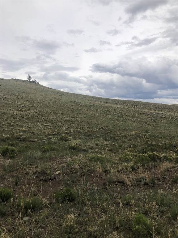 4. Land for Active at TBD Delaware Road Hartsel, Colorado 80449 United States