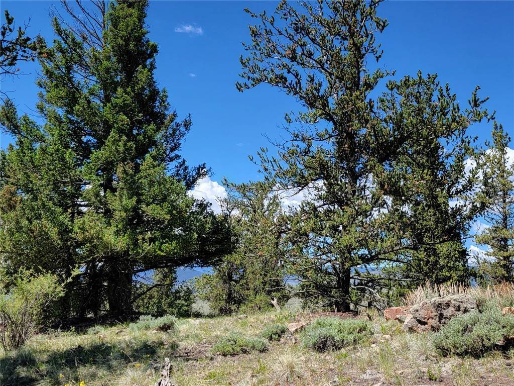 18. Land for Active at 4469 Middle Fork Fairplay, Colorado 80440 United States