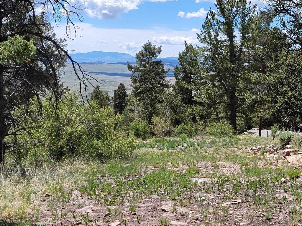 20. Land for Active at 4469 Middle Fork Fairplay, Colorado 80440 United States
