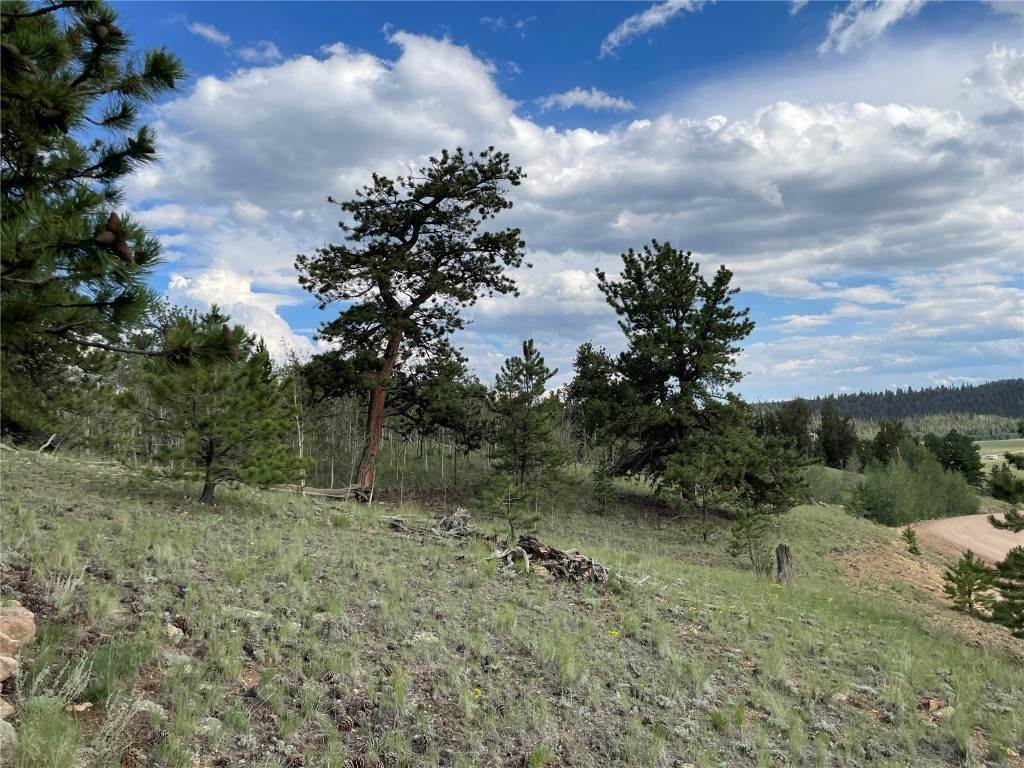 Land for Active at 950 McDowell Drive Como, Colorado 80432 United States