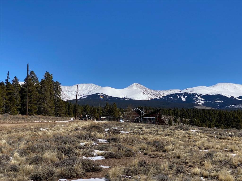 3. Land for Active at 135 Mountain View Road Leadville, Colorado 80461 United States