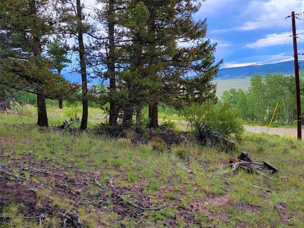 10. Land for Active at 2931 Redhill Road Fairplay, Colorado 80440 United States