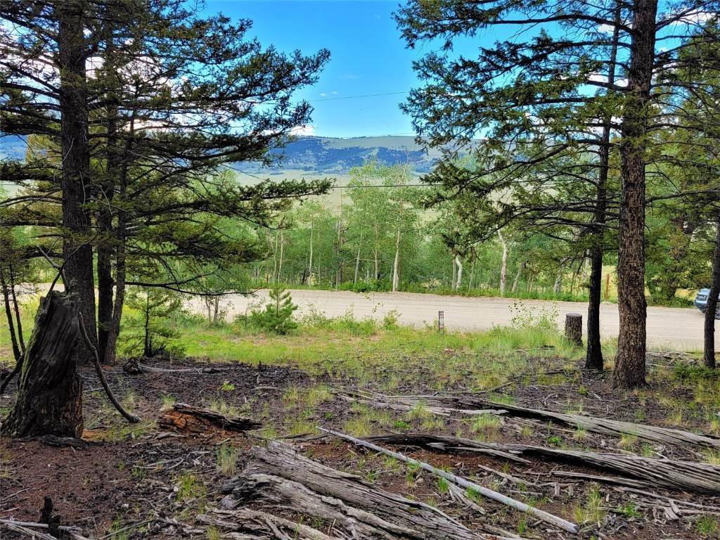 14. Land for Active at 2931 Redhill Road Fairplay, Colorado 80440 United States