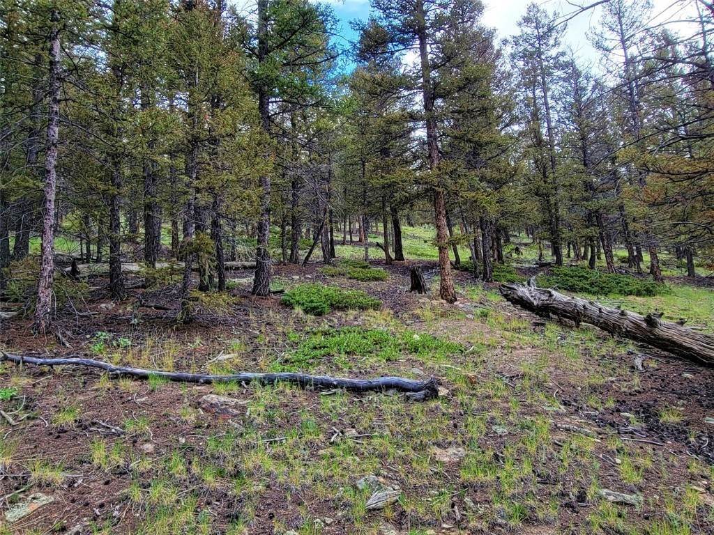 18. Land for Active at 2931 Redhill Road Fairplay, Colorado 80440 United States