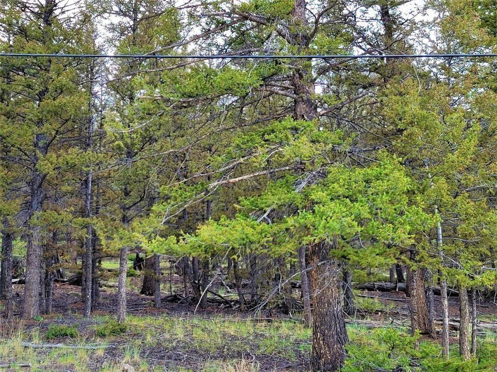 3. Land for Active at 2931 Redhill Road Fairplay, Colorado 80440 United States
