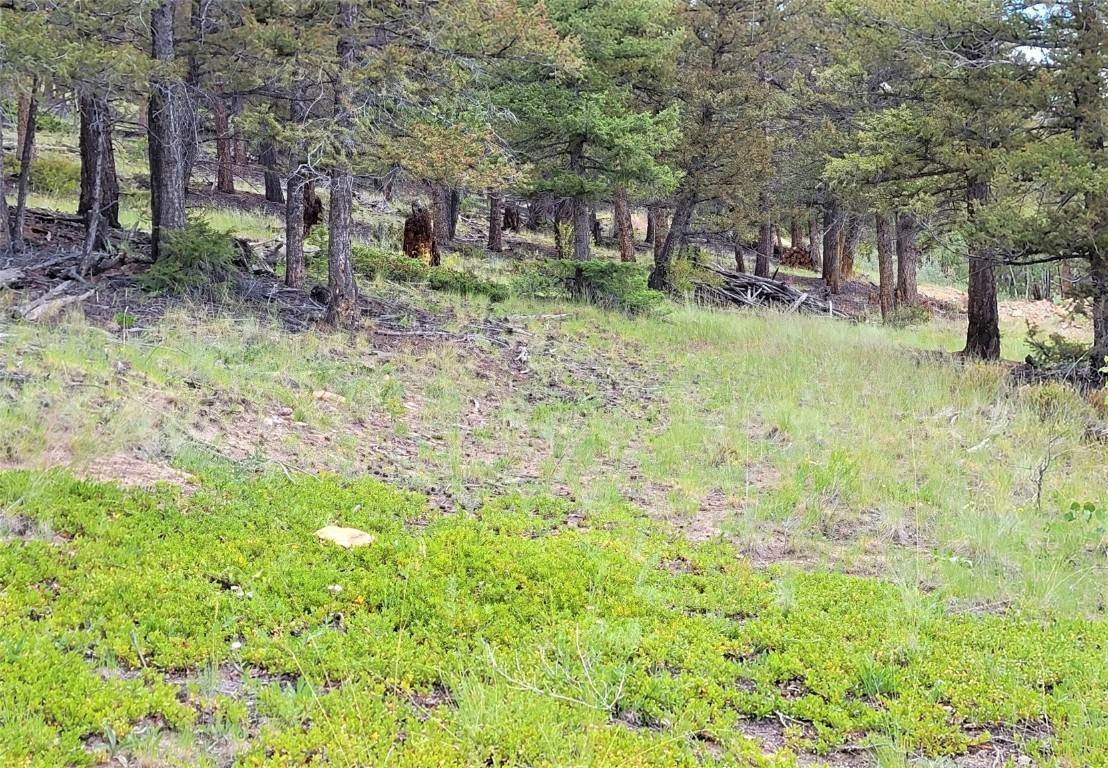 6. Land for Active at 2931 Redhill Road Fairplay, Colorado 80440 United States