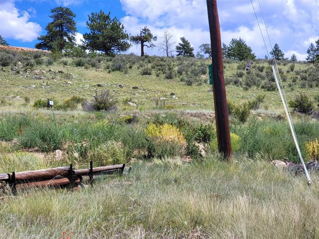 6. Land for Active at 347 Arthurs Court Fairplay, Colorado 80440 United States