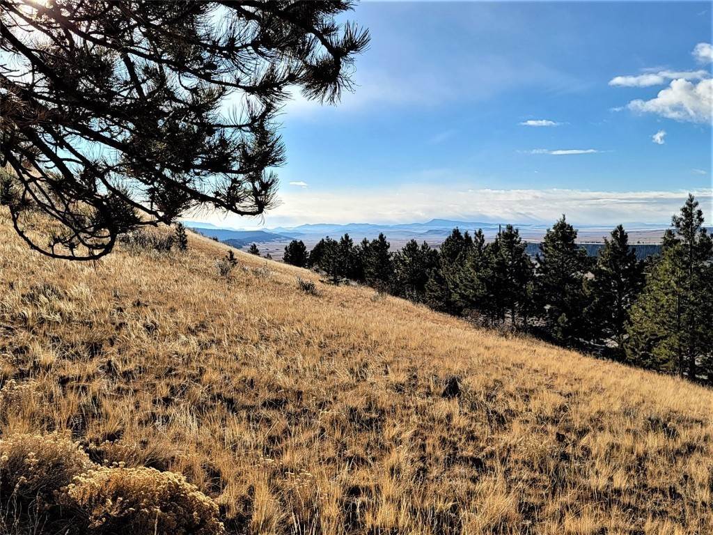 13. Land for Active at 360 Bonell Drive Fairplay, Colorado 80440 United States