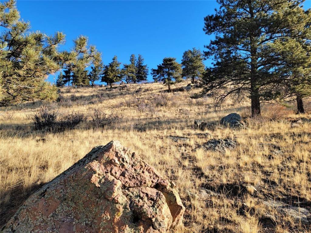 7. Land for Active at 360 Bonell Drive Fairplay, Colorado 80440 United States