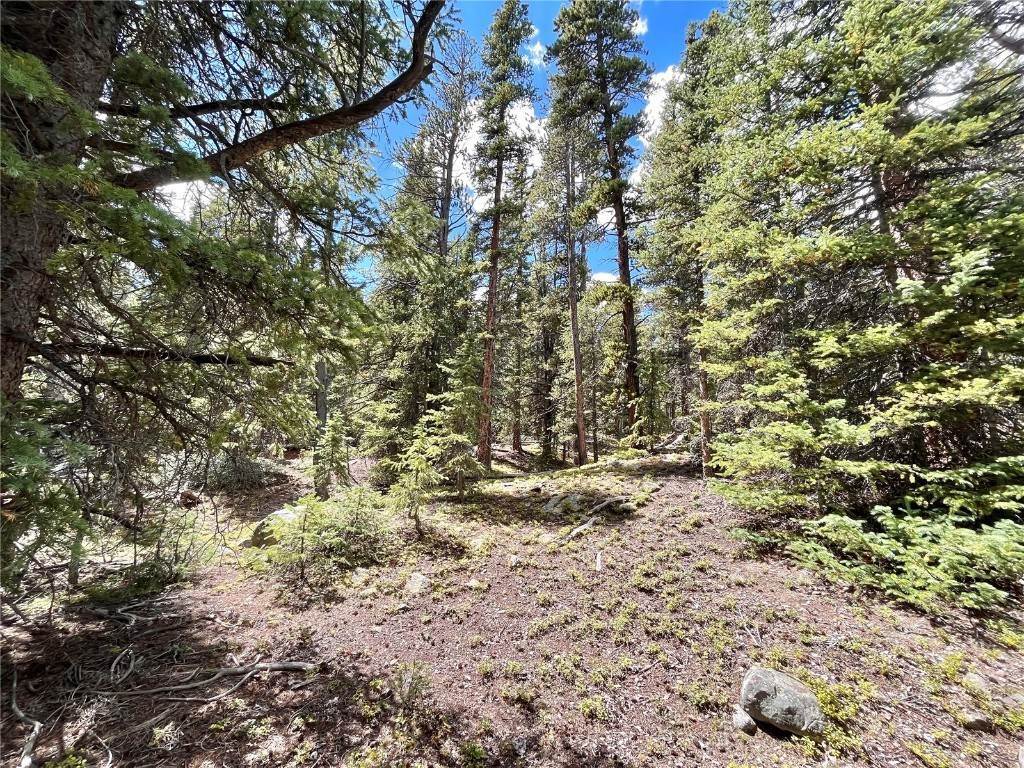 19. Land for Active at 676 Dry Gulch Road Fairplay, Colorado 80440 United States