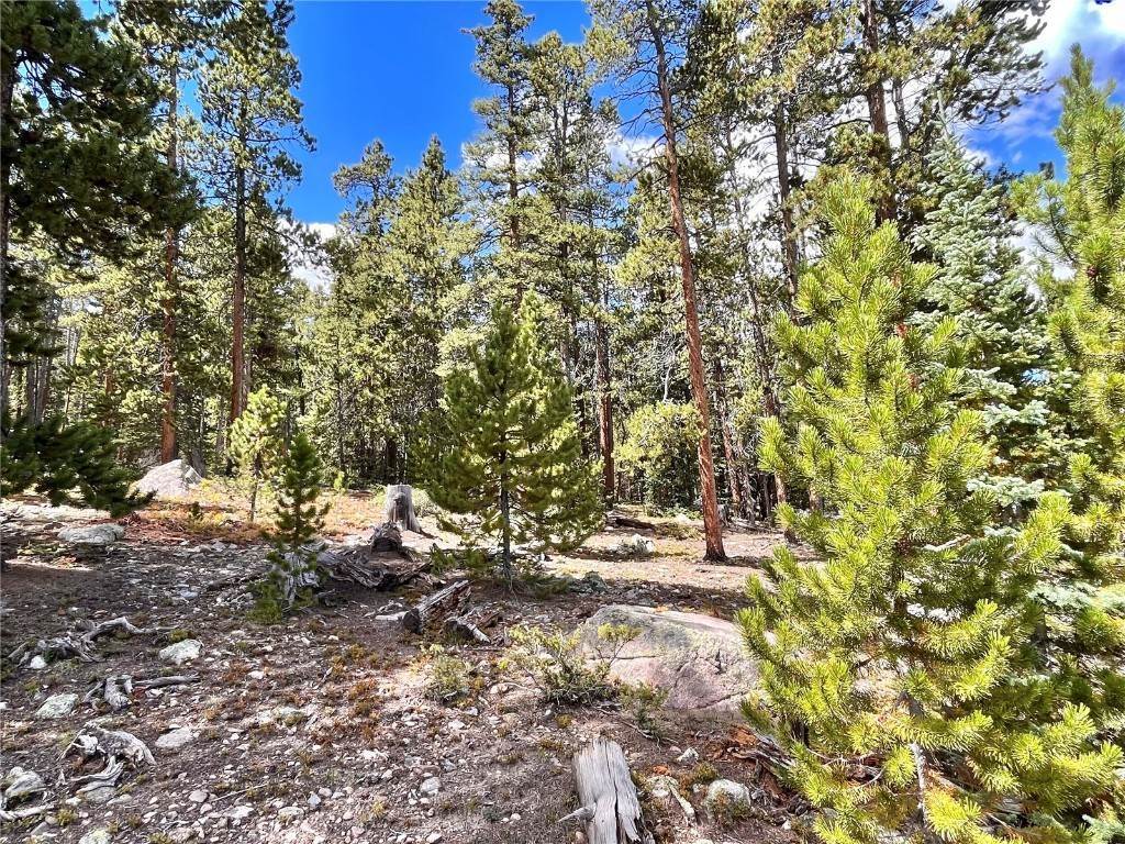 8. Land for Active at 676 Dry Gulch Road Fairplay, Colorado 80440 United States