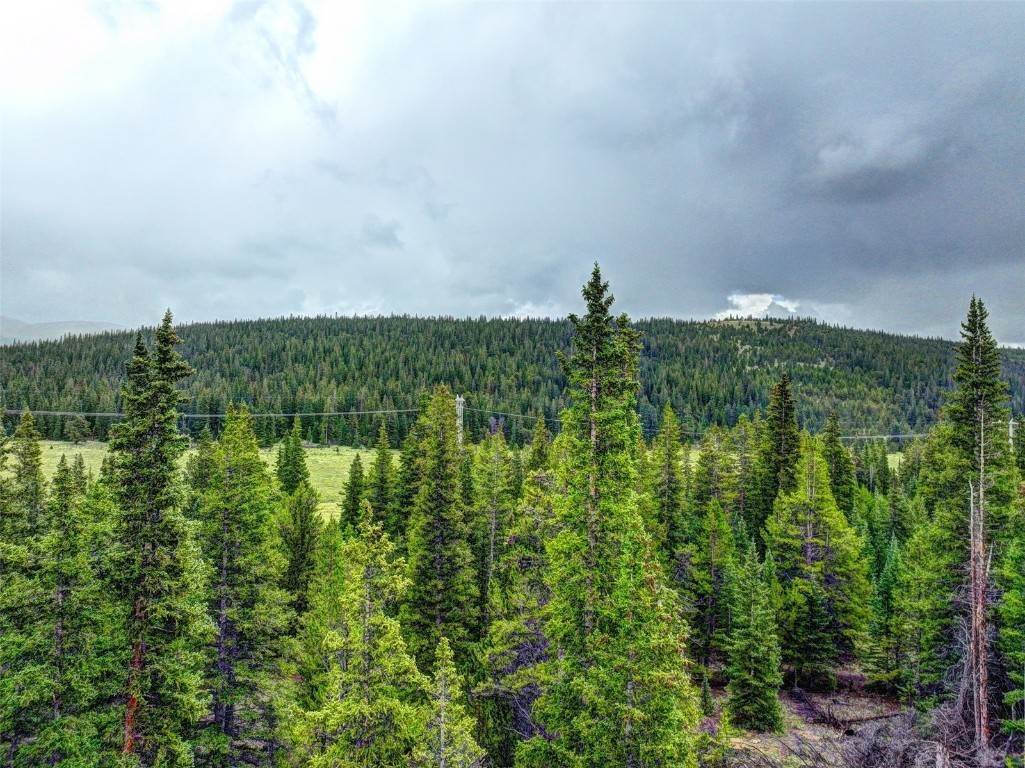 4. Land for Active at Lot 4 Snow Cap Peaks Road Fairplay, Colorado 80440 United States