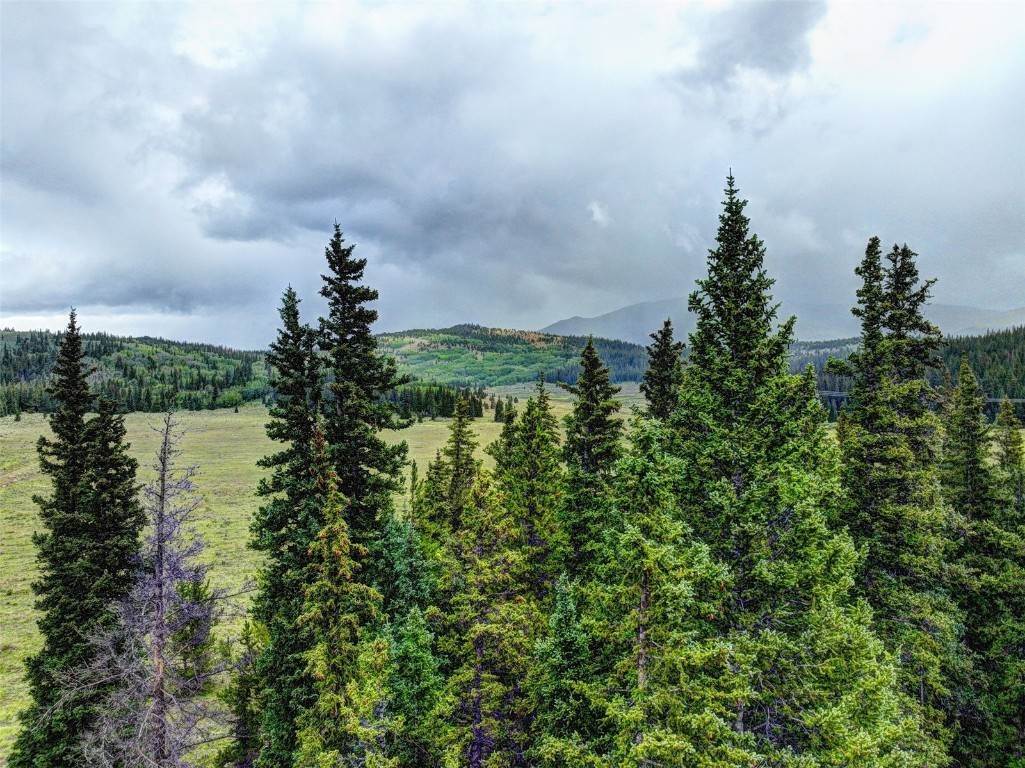 5. Land for Active at Lot 4 Snow Cap Peaks Road Fairplay, Colorado 80440 United States