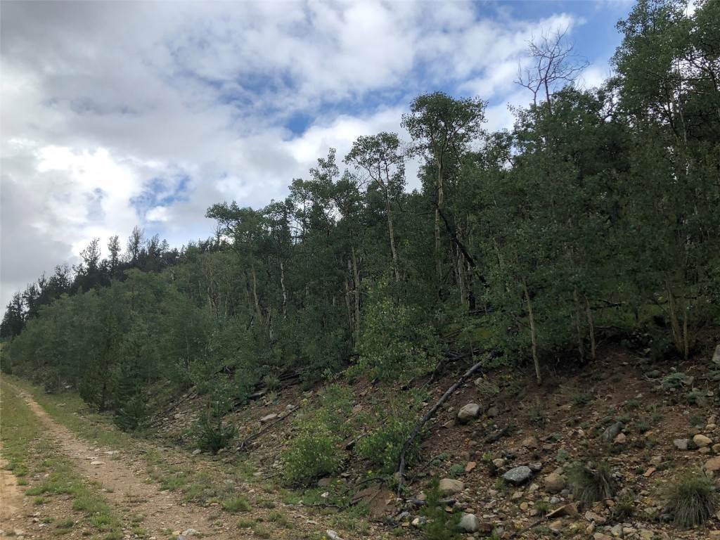 16. Land for Active at Lot 3 Snow Cap Peaks Road Fairplay, Colorado 80440 United States