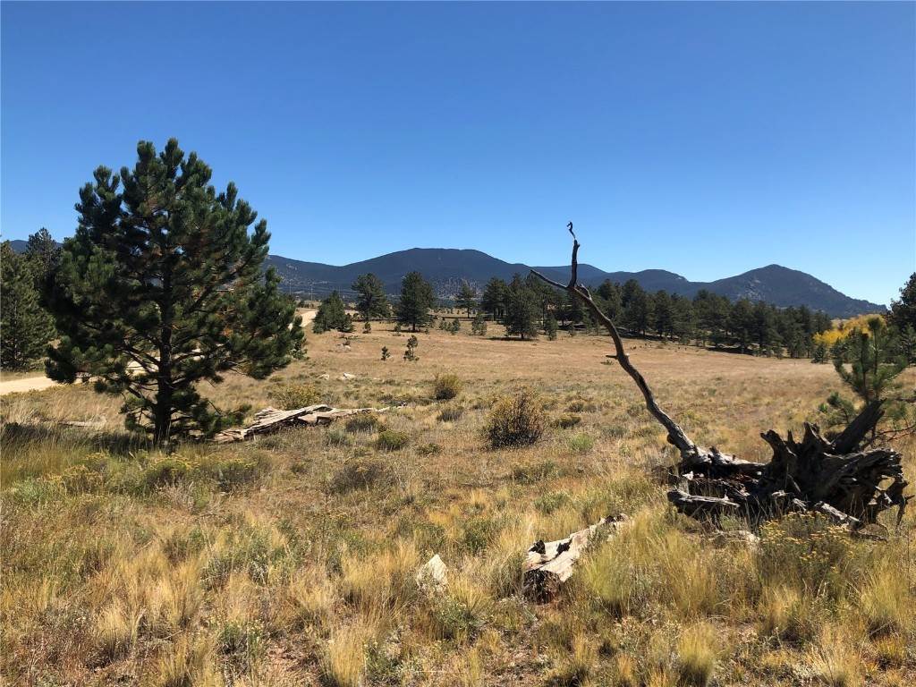13. Land for Active at 306 Jasper Way Lake George, Colorado 80449 United States