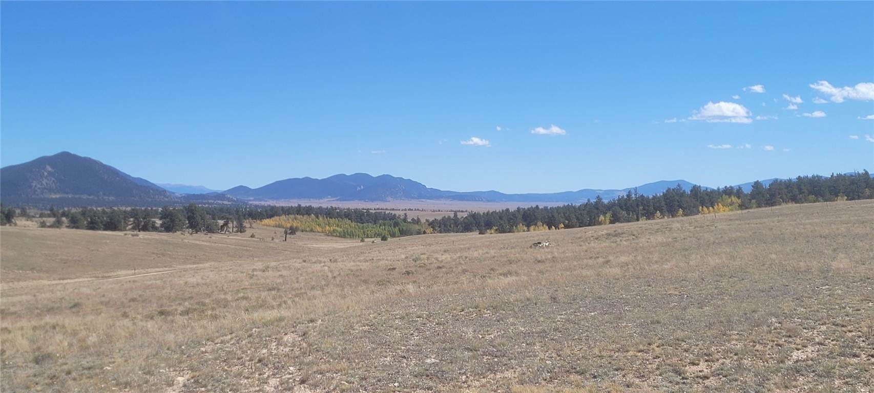 1. Land for Active at 1194 YELLOWSTONE Road Hartsel, Colorado 80449 United States