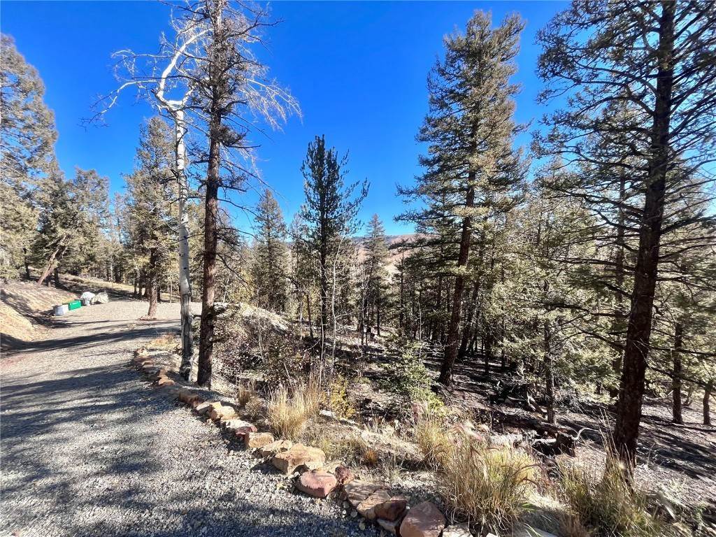3. Land for Active at 3422 Middle Fork Vista Fairplay, Colorado 80440 United States