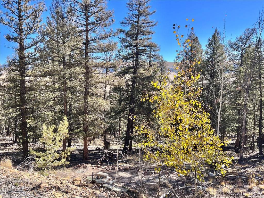 5. Land for Active at 3422 Middle Fork Vista Fairplay, Colorado 80440 United States