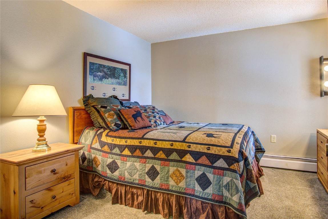 14. Condominiums for Active at 1127 Ski Hill Road Breckenridge, Colorado 80424 United States