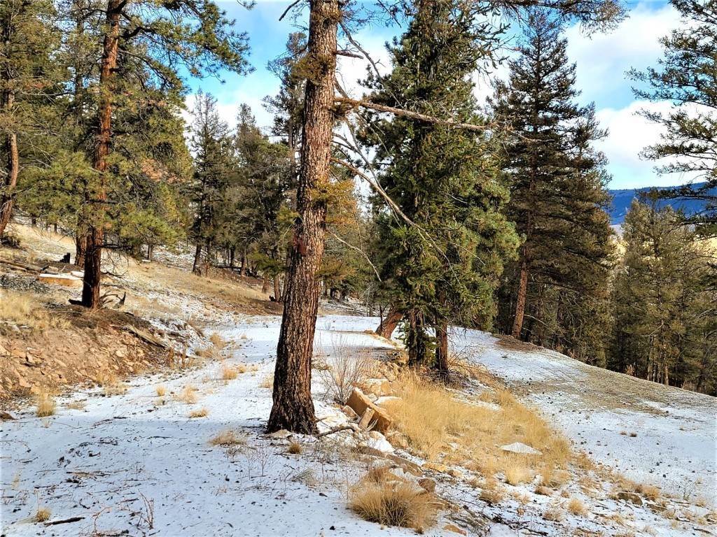 19. Land for Active at 3888 Middle Fork Fairplay, Colorado 80440 United States