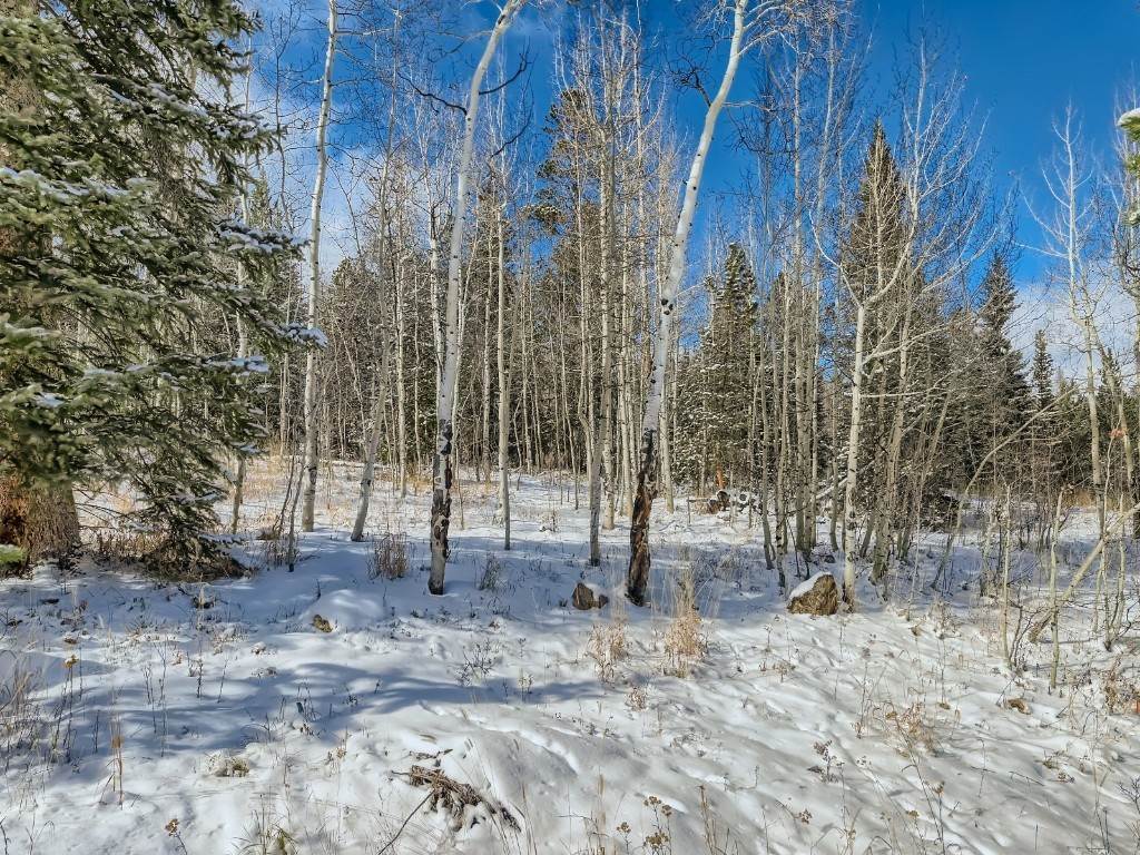 11. Land for Active at 1445 Golden Eagle Road Silverthorne, Colorado 80498 United States