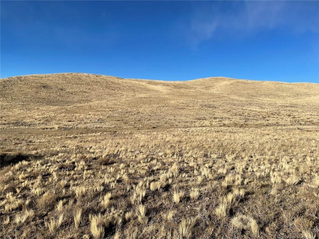 4. Land for Active at 4011 Odako Trail Hartsel, Colorado 80449 United States