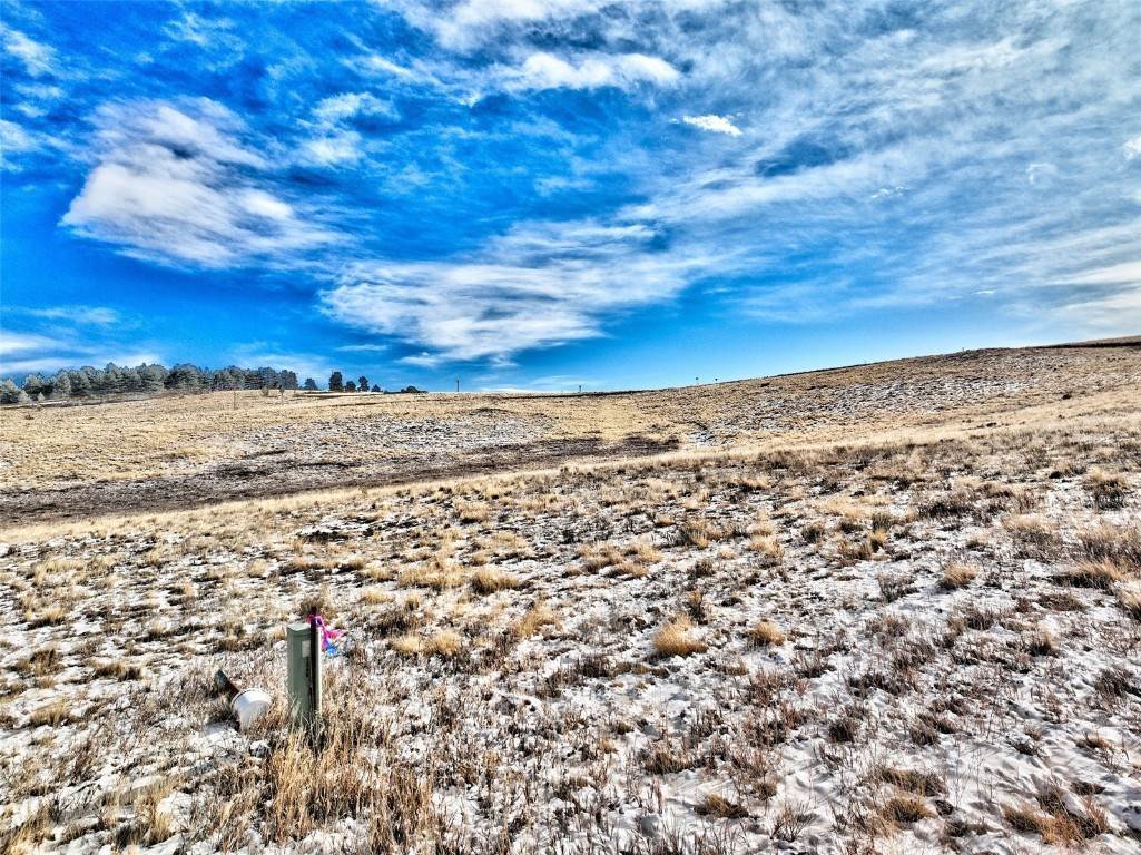 12. Land for Active at County Rd 403 Florissant, Colorado 80816 United States