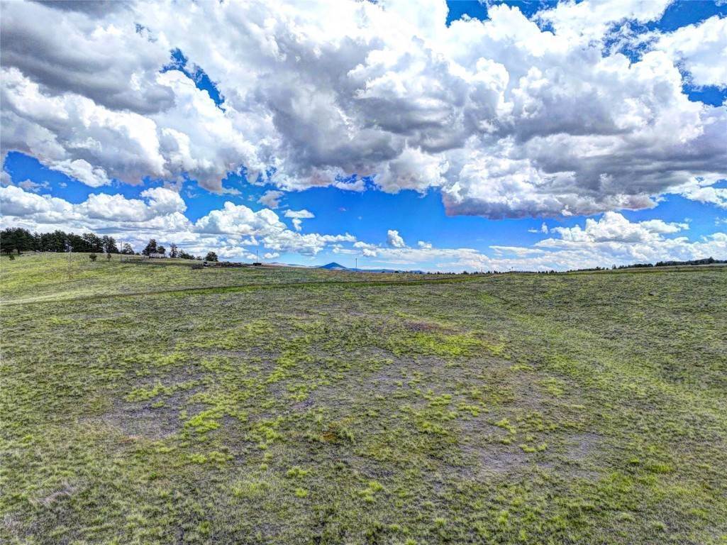4. Land for Active at County Rd 403 Florissant, Colorado 80816 United States