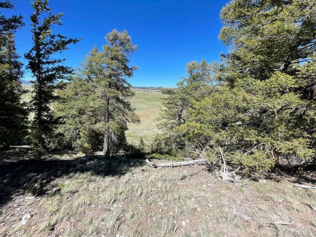 12. Land for Active at 4319 Meier Ridge Trail Fairplay, Colorado 80440 United States