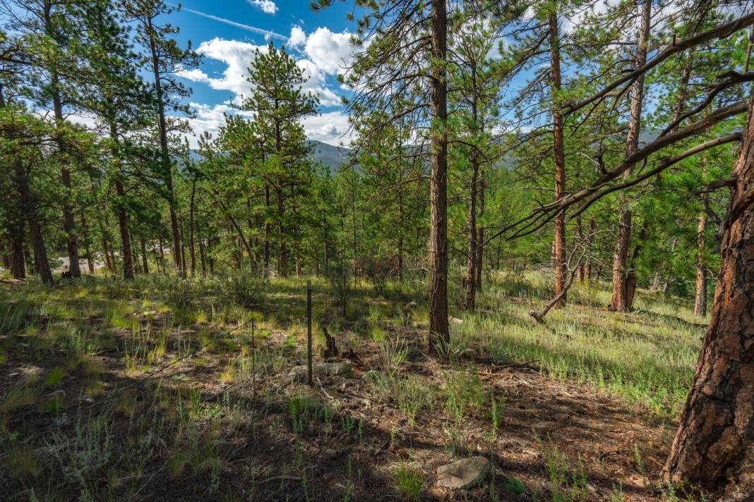 1. Land for Active at Crow Valley Road Bailey, Colorado 80421 United States