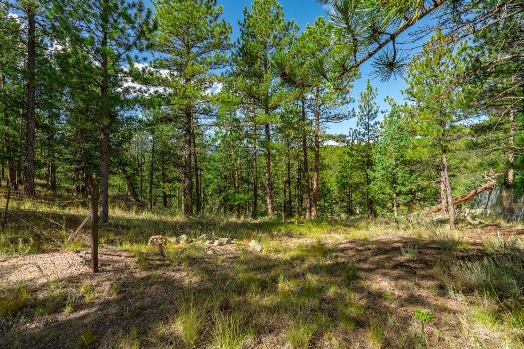 2. Land for Active at Crow Valley Road Bailey, Colorado 80421 United States