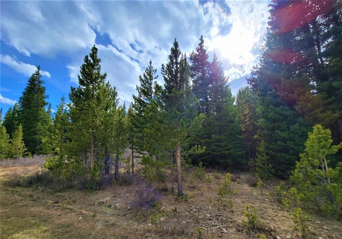 6. Land for Active at 47 Ute Way Fairplay, Colorado 80440 United States