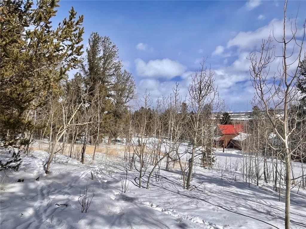 12. Land for Active at 325 Park View Drive Fairplay, Colorado 80440 United States